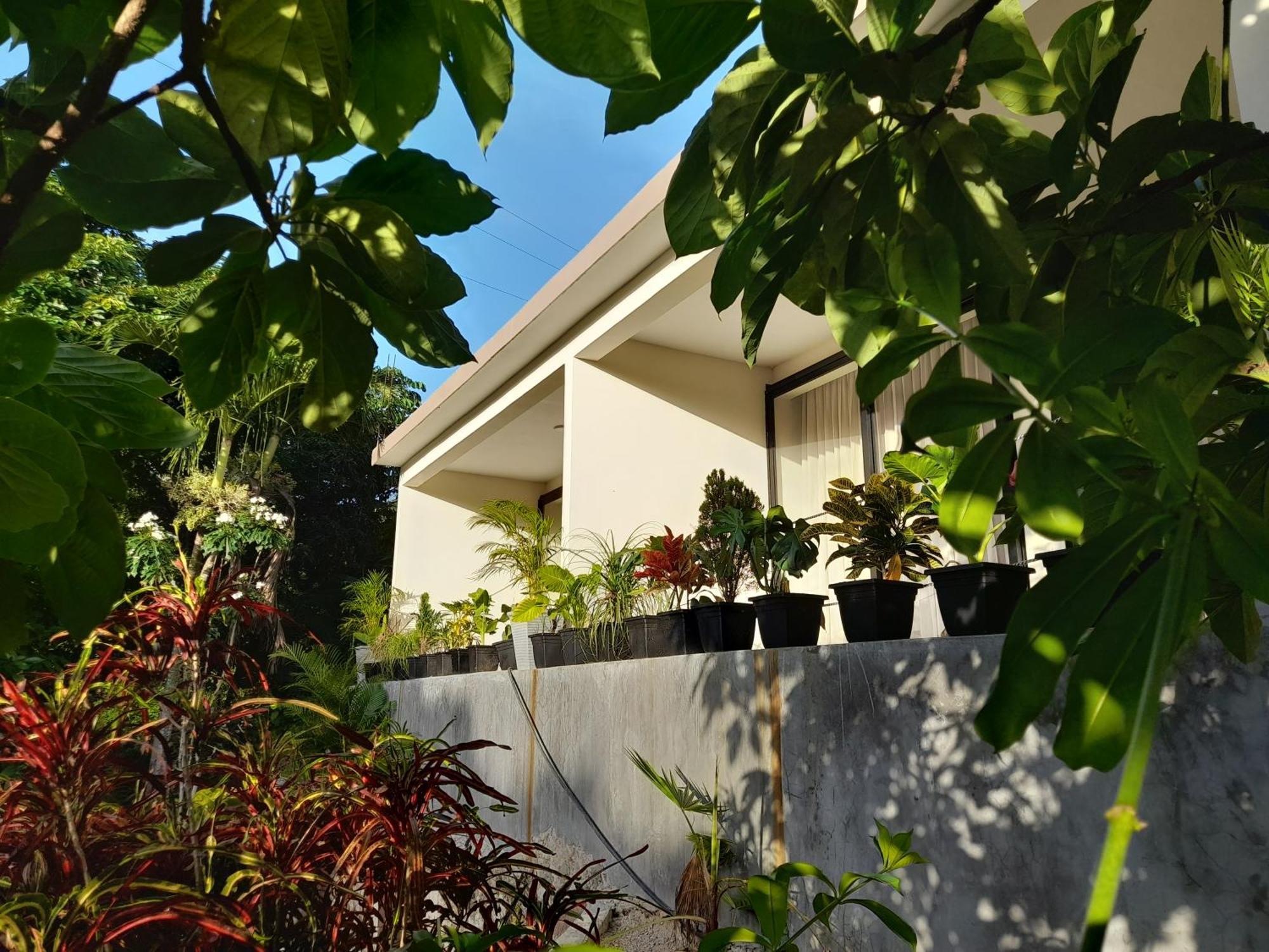 Nyia Boutique Hotel El Curval Eksteriør billede